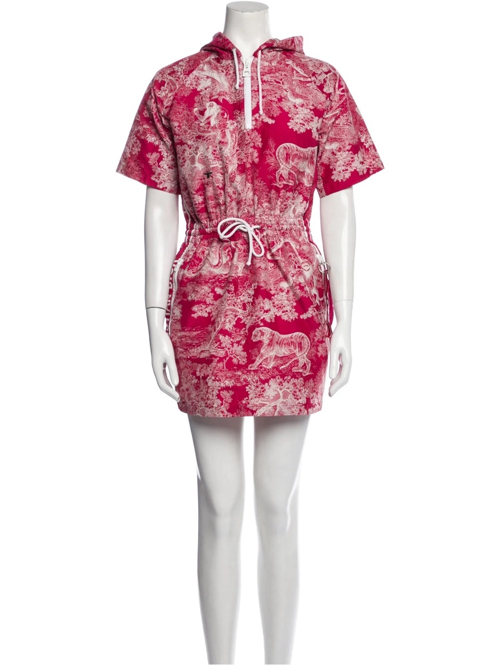 Dior Dress